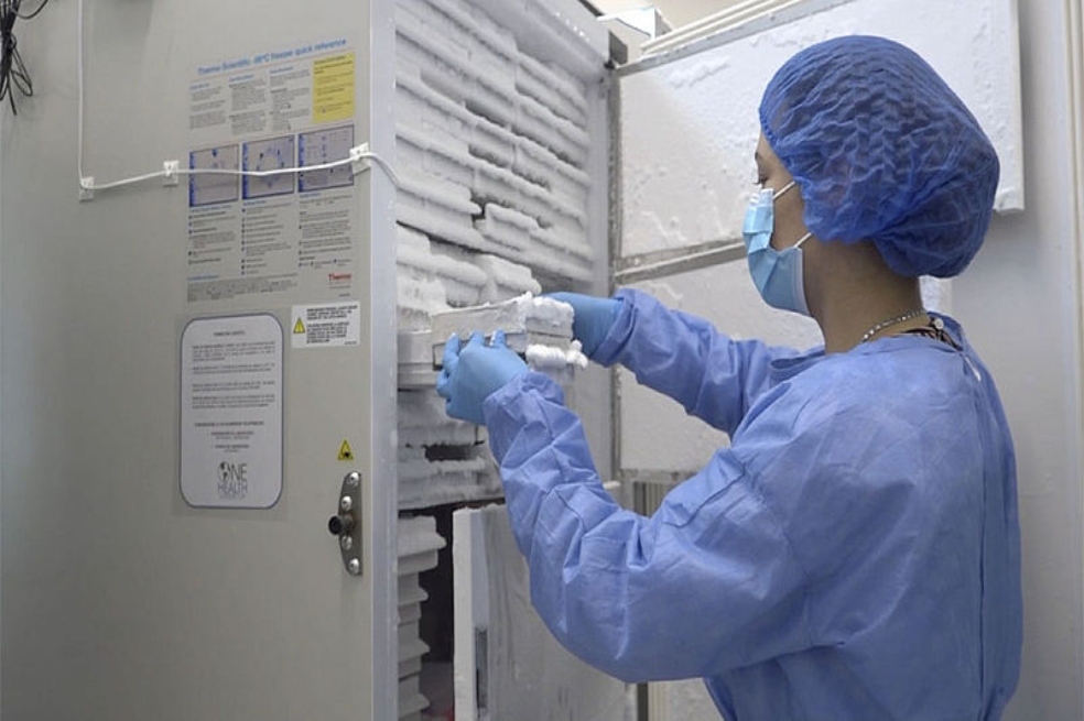 Esta sería la distribución de las primeras 50.000 dosis de la vacuna Pfizer en Colombia