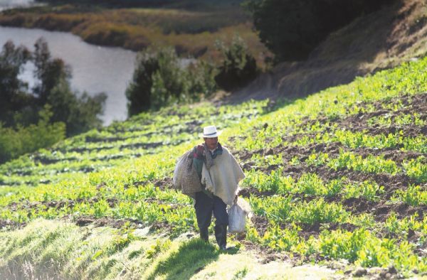 Tres agencias para desarrollar el campo en el posconflicto