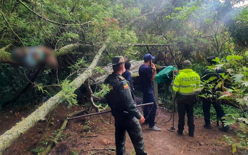 ¿Qué hay detrás de los siete perros muertos en el norte de Bogotá?