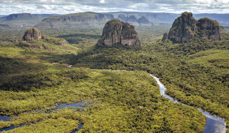 El Chiribiquete fue declarado Parque Nacional en 1989 y, aunque hace falta investigación, se sabe que alberga 708 especies de plantas únicas en el mundo. / Cortesía PNN