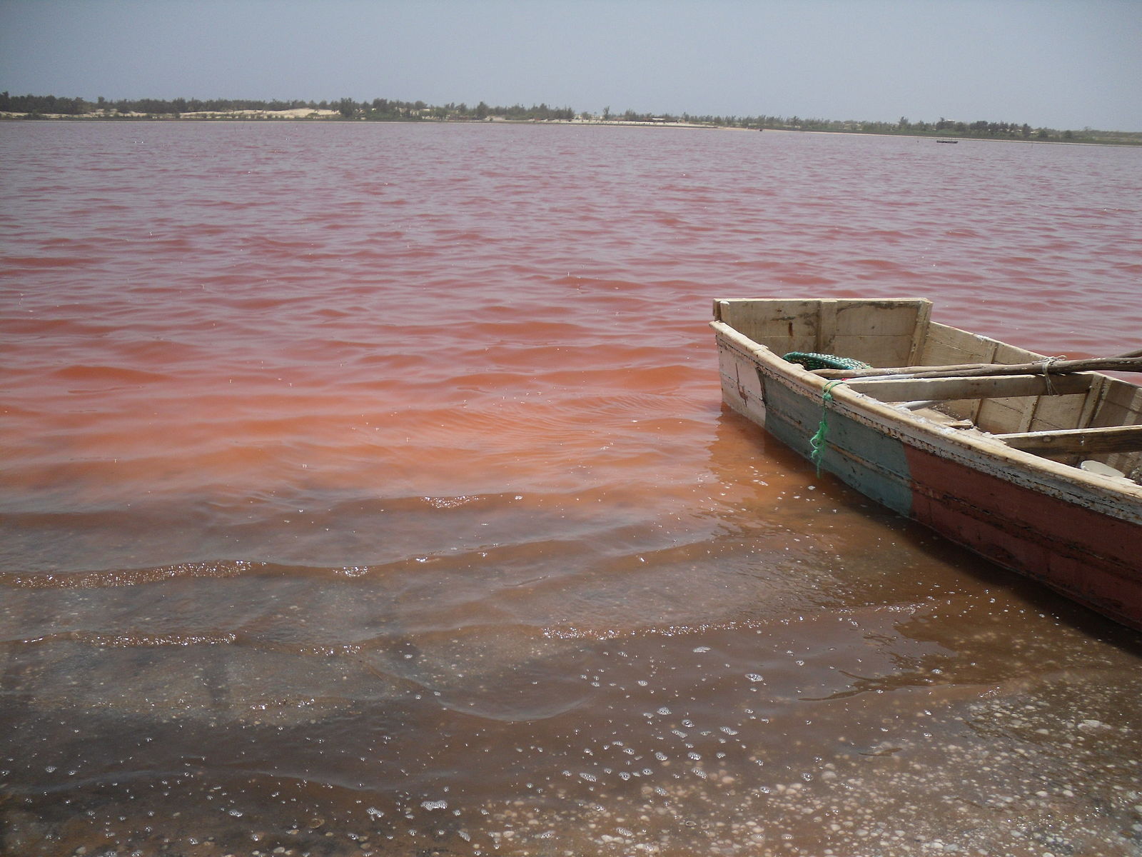 Inundaciones amenazan el ecosistema del Lago Rosa en Senegal