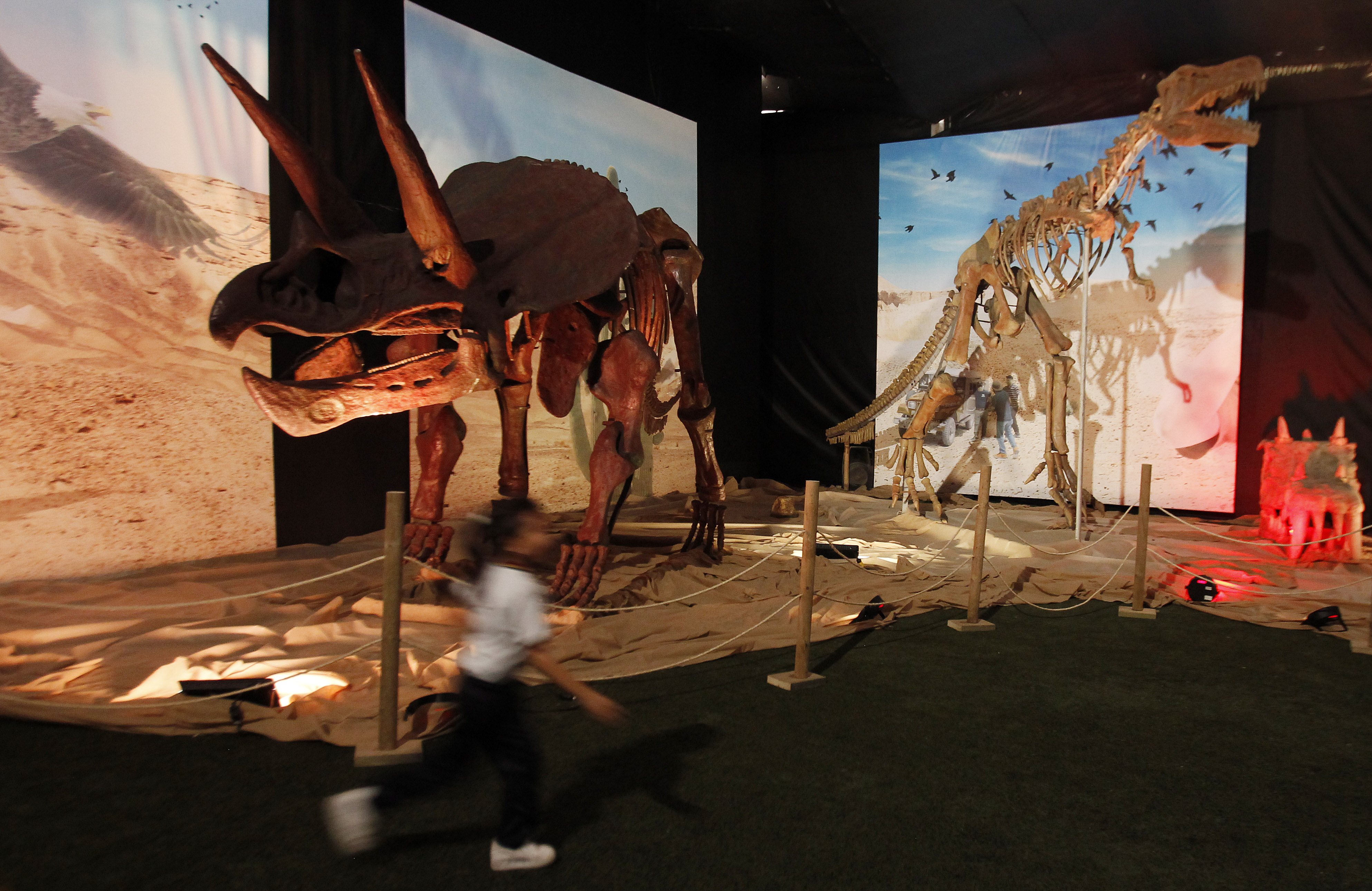 MED102. MEDELLÍN (COLOMBIA), 11/02/2023.- Niños asisten a la exhibición "Dinosaurios y Dragones fantásticos", el 10 de febrero de 2023, en Medellín (Colombia). "Dinosaurios y Dragones Fantásticos", considerado el tour animatrónico más grande de Latinoamérica, inició este sábado en Medellín un viaje prehistórico y mitológico con más de 30 figuras que simulan el aspecto y comportamiento estas criaturas. EFE/ Luis Eduardo Noriega A.
