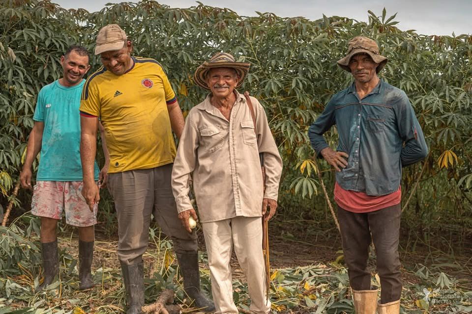 El pulso por la tierra: Corte Constitucional define rol de jueces en conflictos agrarios