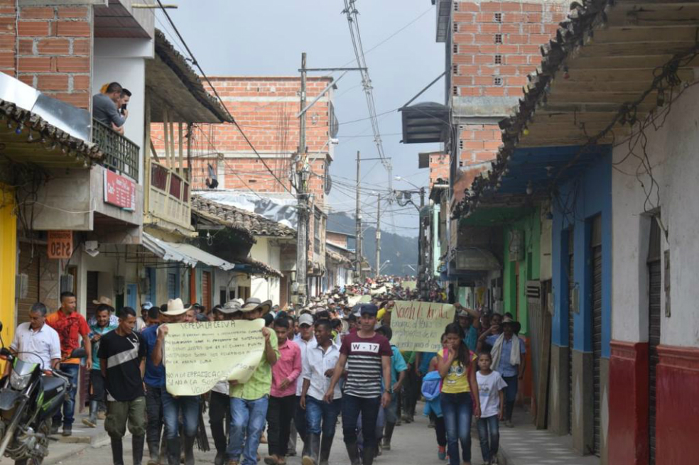 Campesinos de Ituango se movilizan contra la erradicación forzada de cultivos de coca