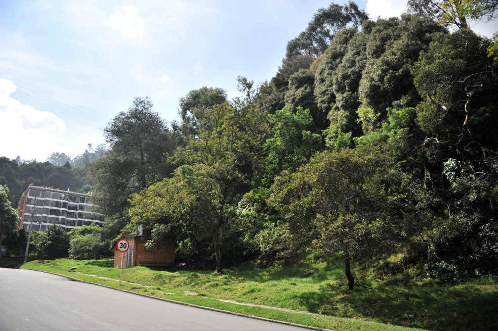 Zona verde en riesgo
