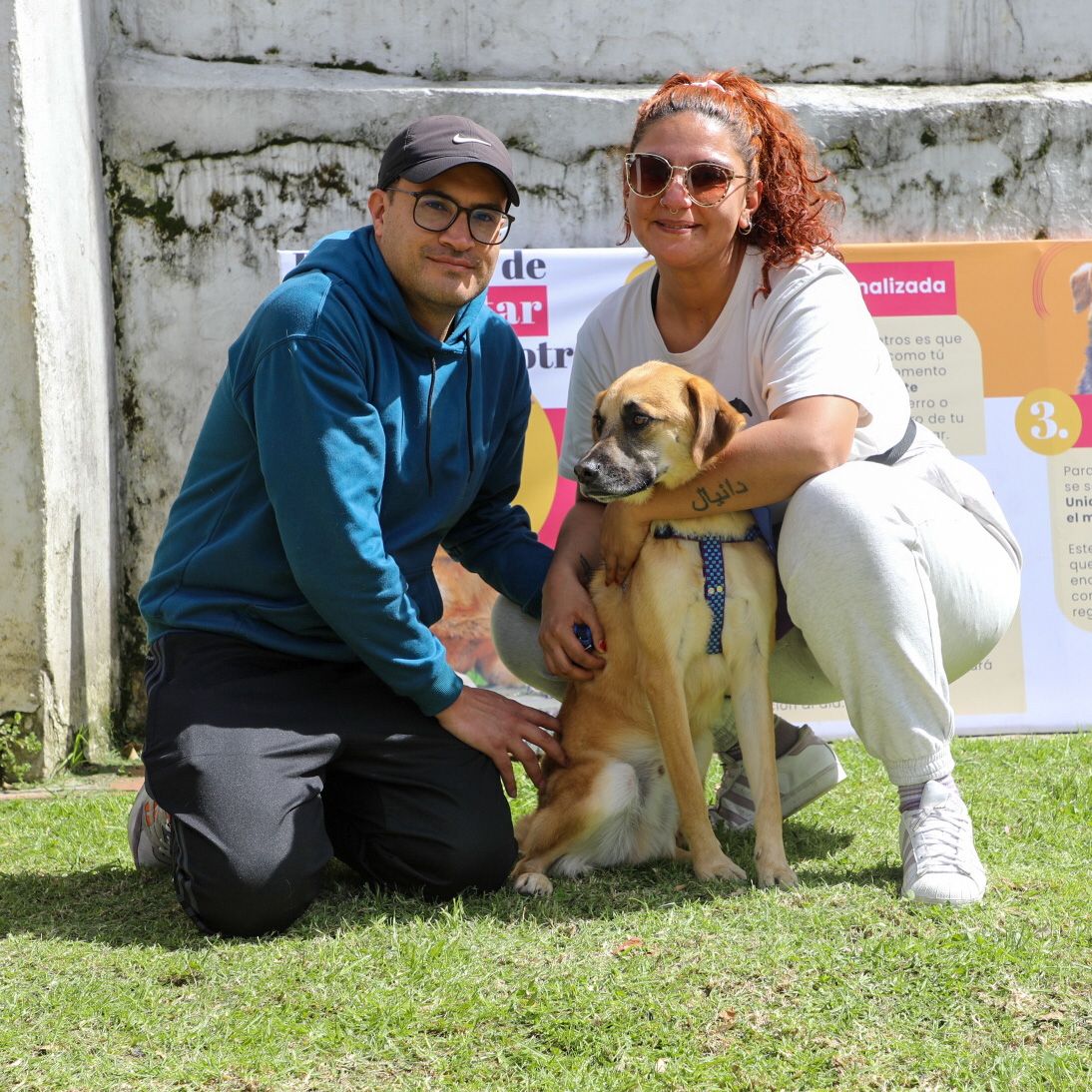 Además de las adopciones, en la jornada se llevan a cabo diferentes actividades, como charlas de concientización sobre la adopción responsable.