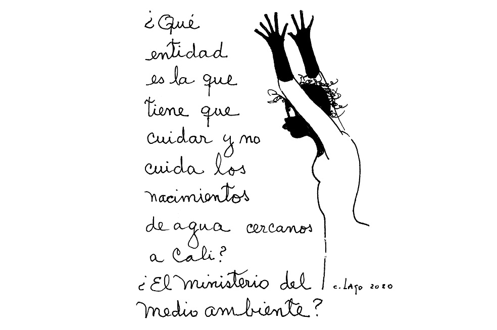 Nieves