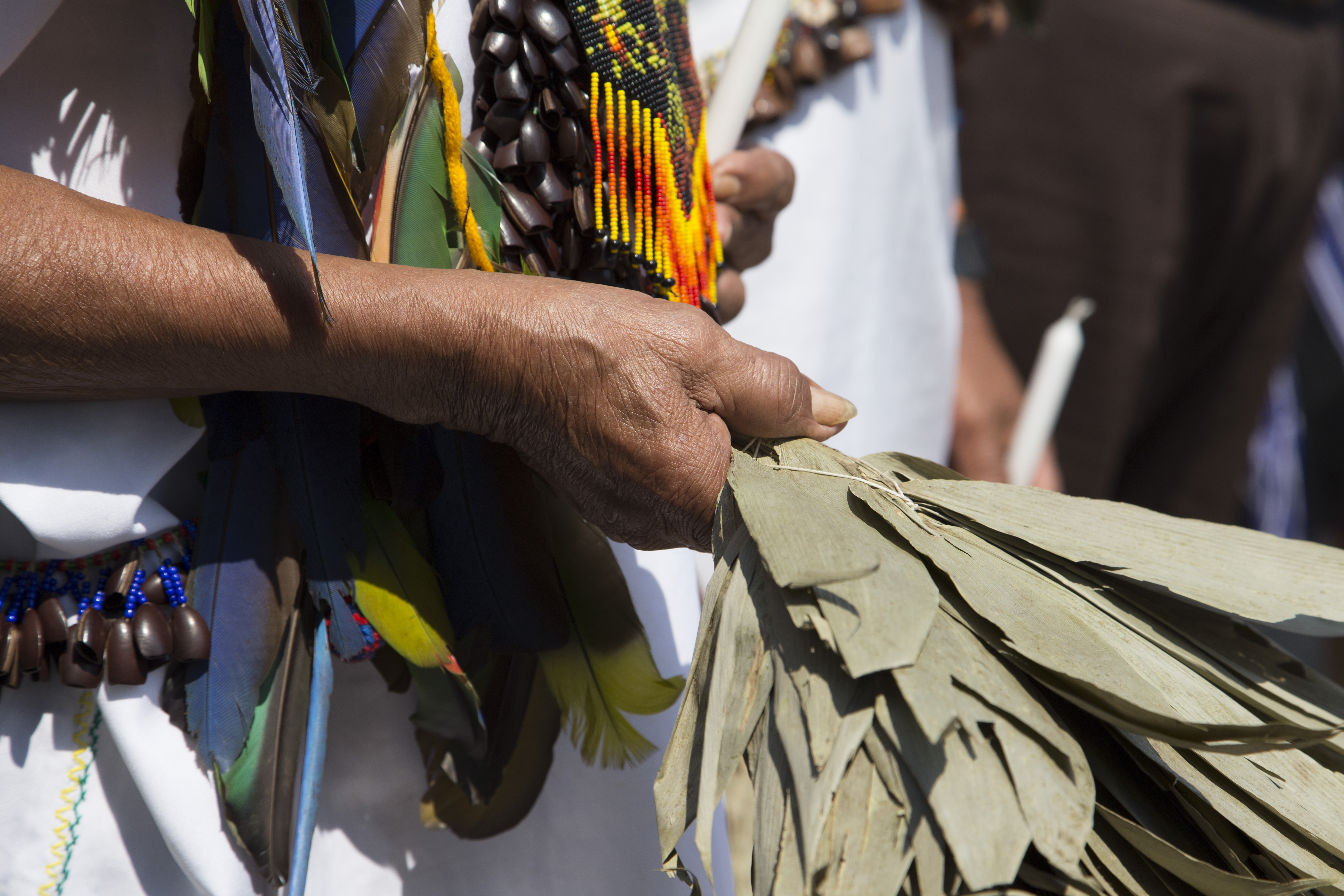 Comunidades indígenas, vitales para el futuro de la Amazonía