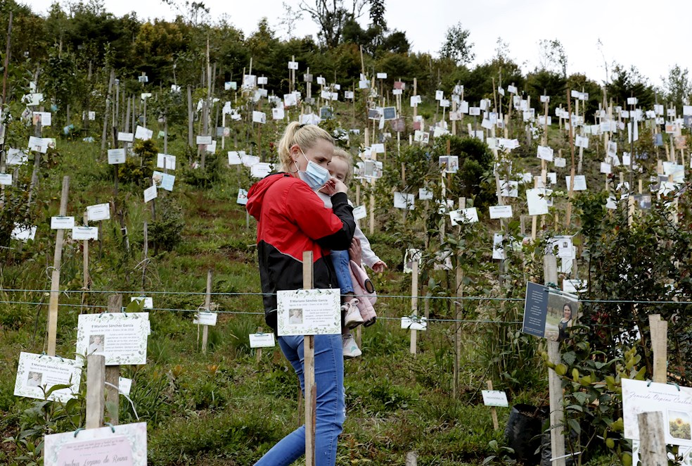 Las cenizas de víctimas de covid-19, fuente de vida de un páramo en Colombia