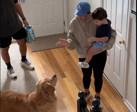 Reacción de golden retriever al ver a su dueño tras su primer día de clases
