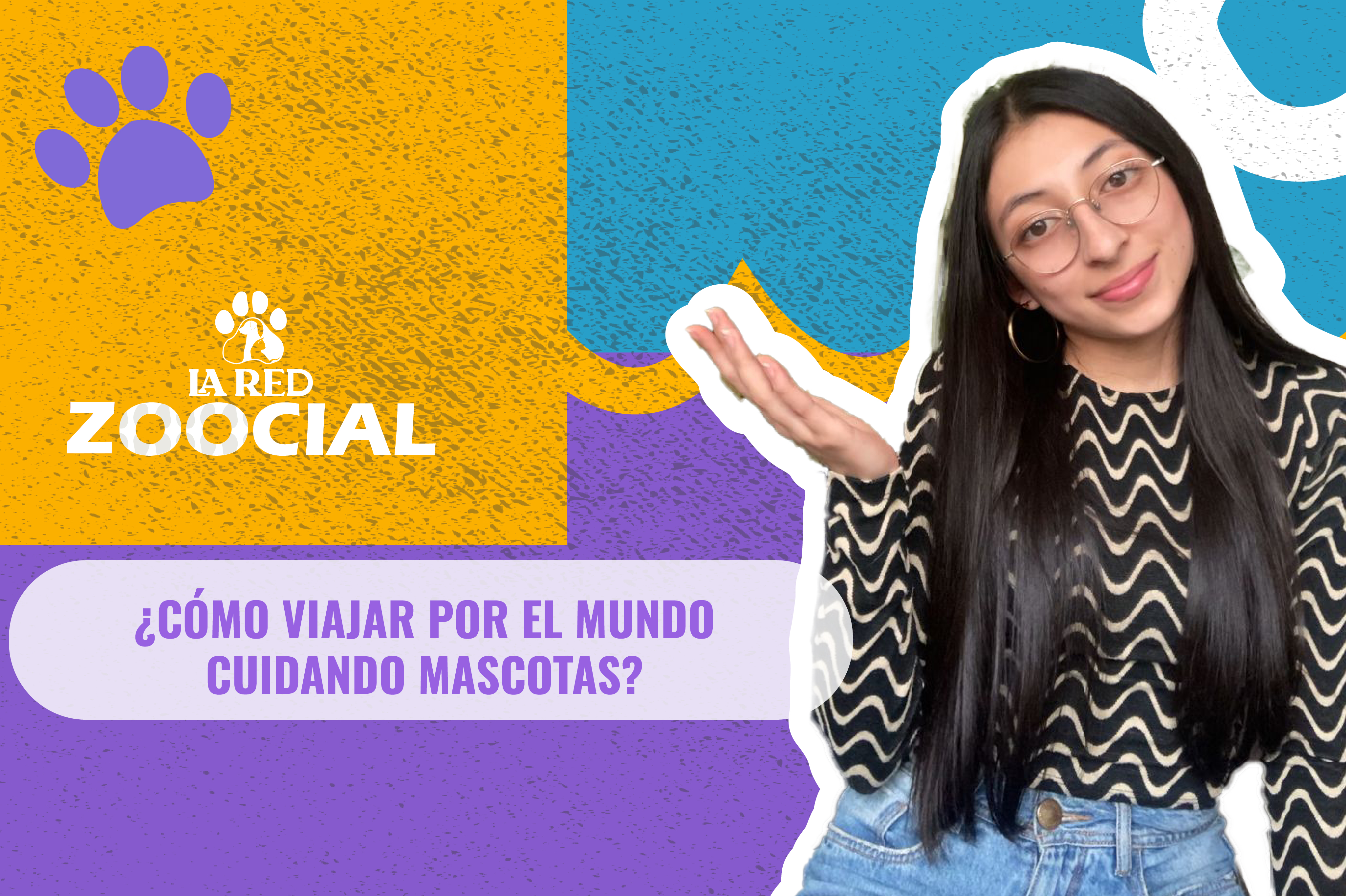 (Video) ¿Cómo viajar por el mundo cuidando mascotas?