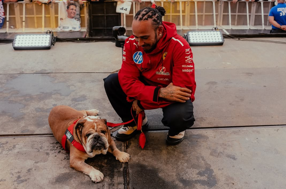 Murió Roscoe, perro de Lewis Hamilton: “Tuve que tomar la decisión más difícil”