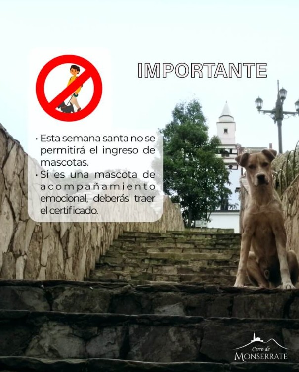¿Puedo subir con mi mascota a Monserrate?