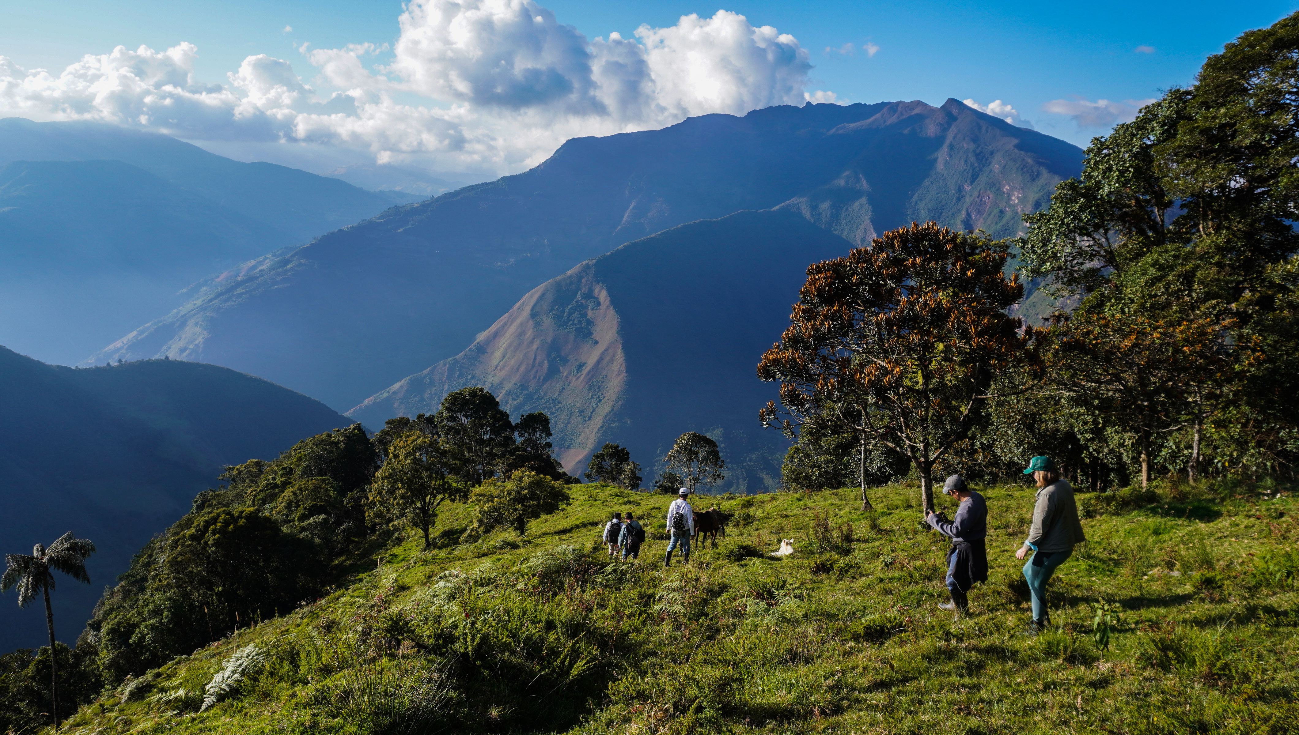 Paisaje cerca al páramo de La Bateca, en Norte de Santander.