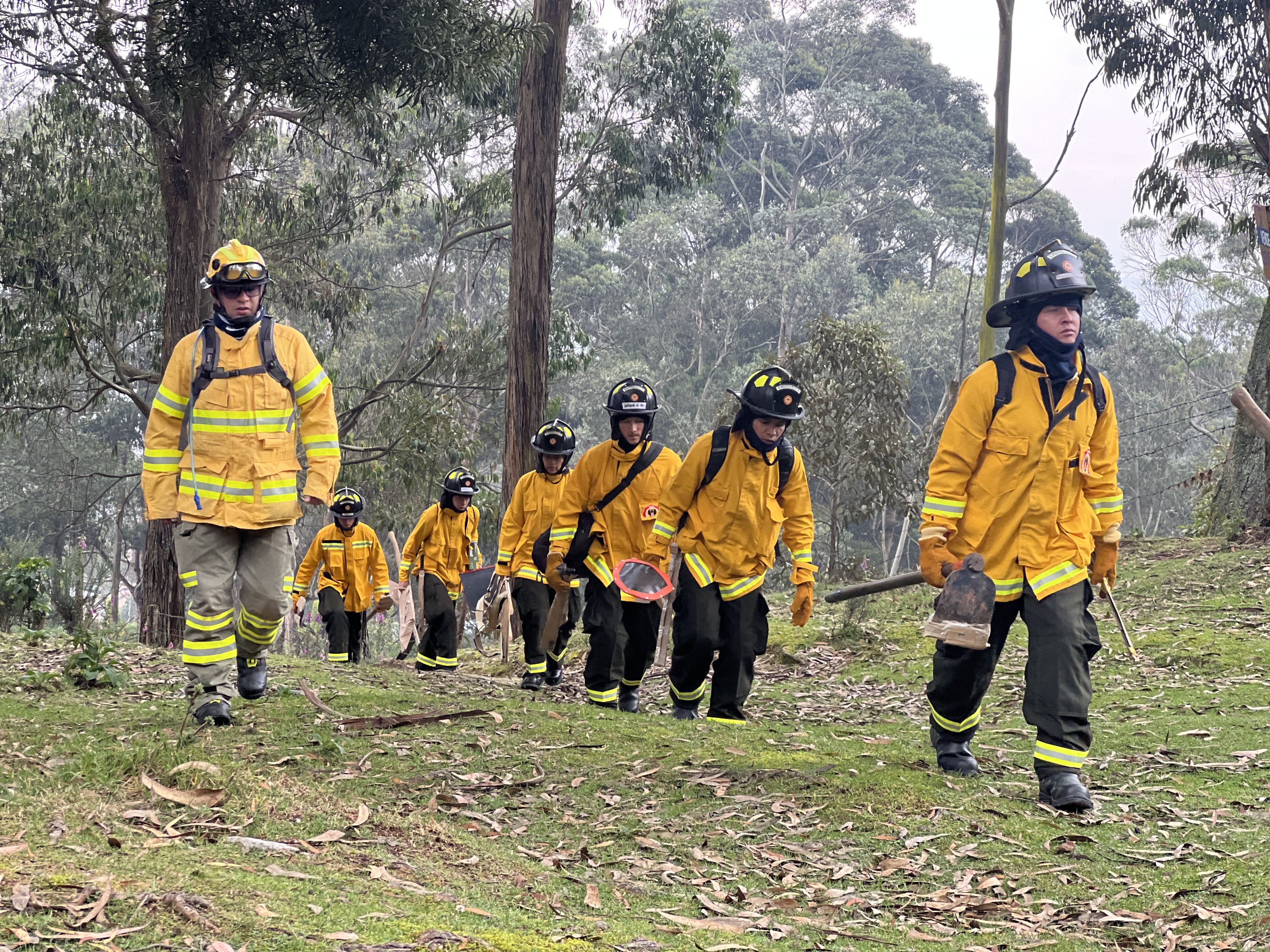 Así se formaron los nuevos bomberos, que se suman al cuerpo de socorristas de Bogotá, para reforzar la atención de emergencias.