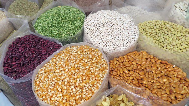 En cifras: así está la producción de maíz, soya, fríjol en Colombia