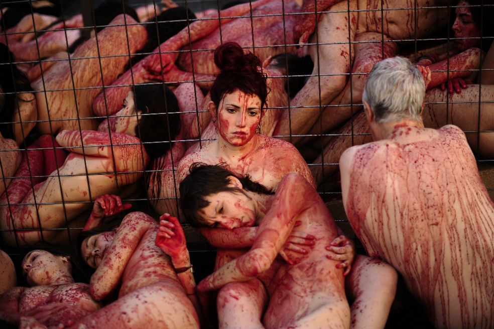 Así rechaza esta organización la violencia contra los animales