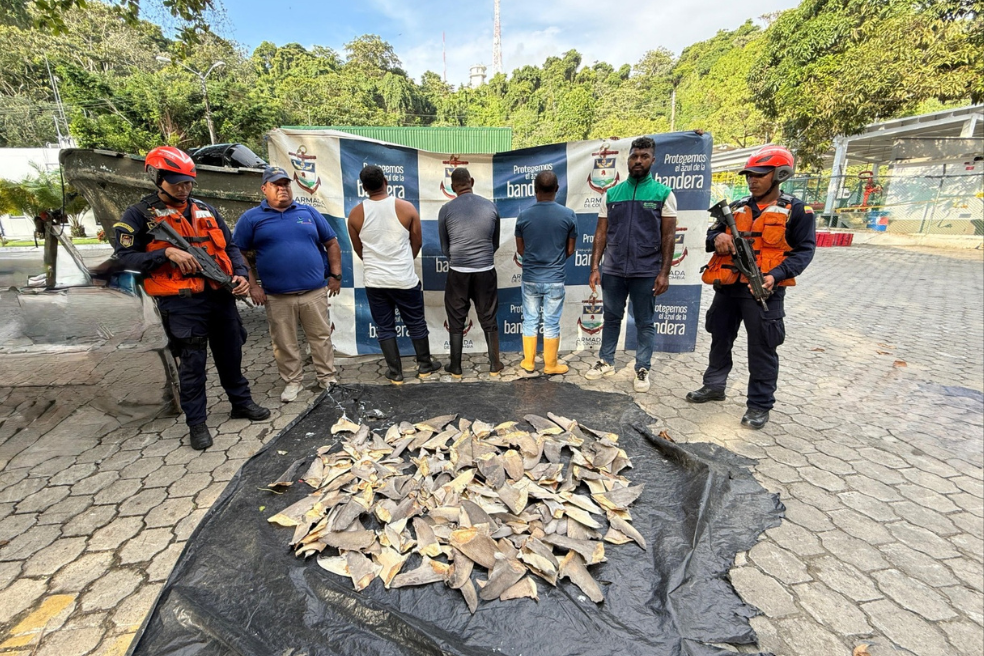 En Tumaco (Nariño) la Armada incautó una tonelada de cocaína junto a 208 aletas de tiburón.