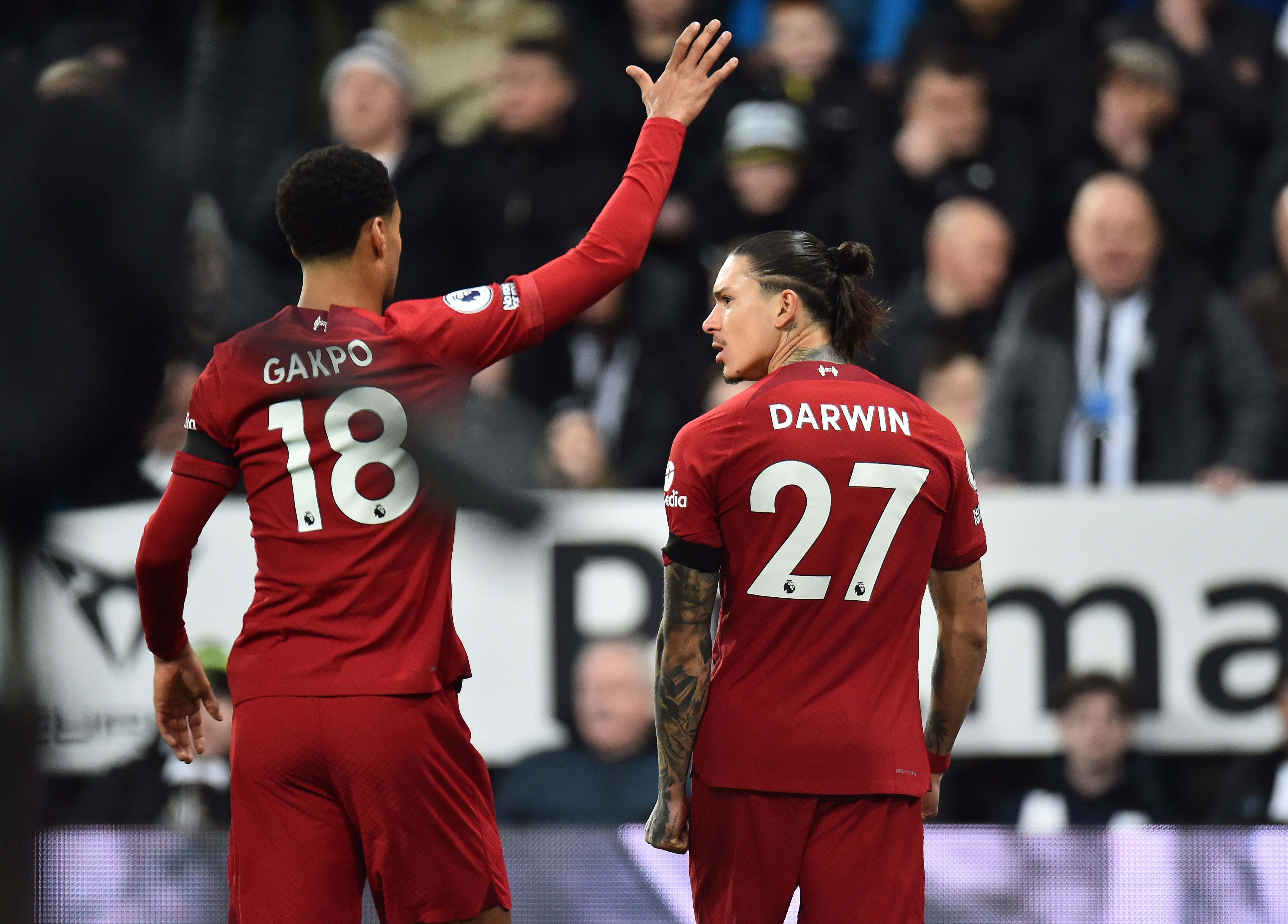 Liverpool le ganó a Newcastle: una victoria para soñar con la Champions
