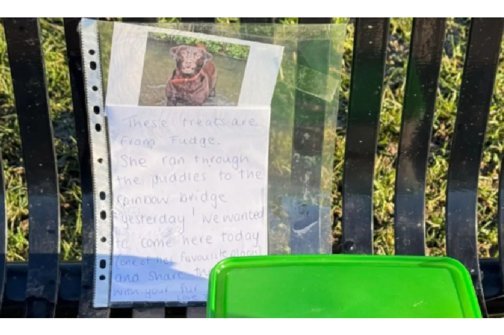 Hombre encuentra golosinas gratis para perro en el parque y llora al leer la dolorosa nota