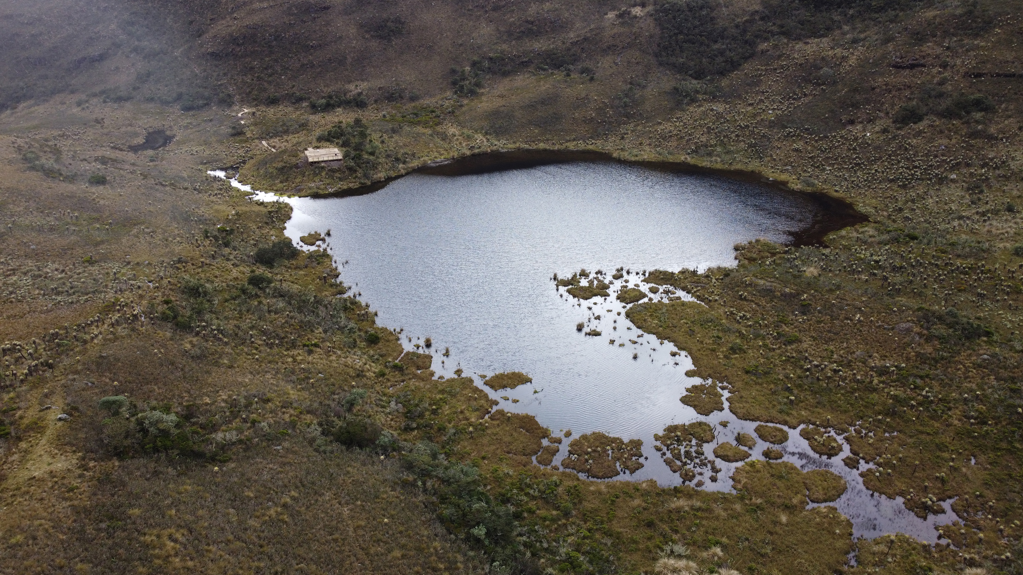 Tras cuatro años cerrado, reabren el Santuario de Fauna y Flora de Iguaque