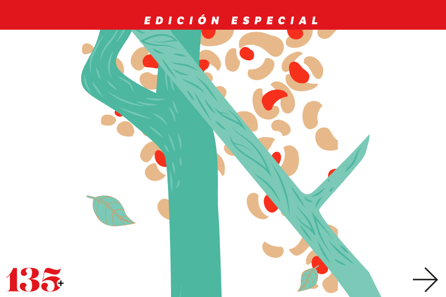ODS 15: es hora de restaurar