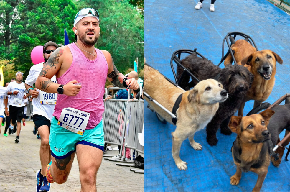 Atleta correrá de Bogotá a Medellín para ayudar a perritos discapacitados