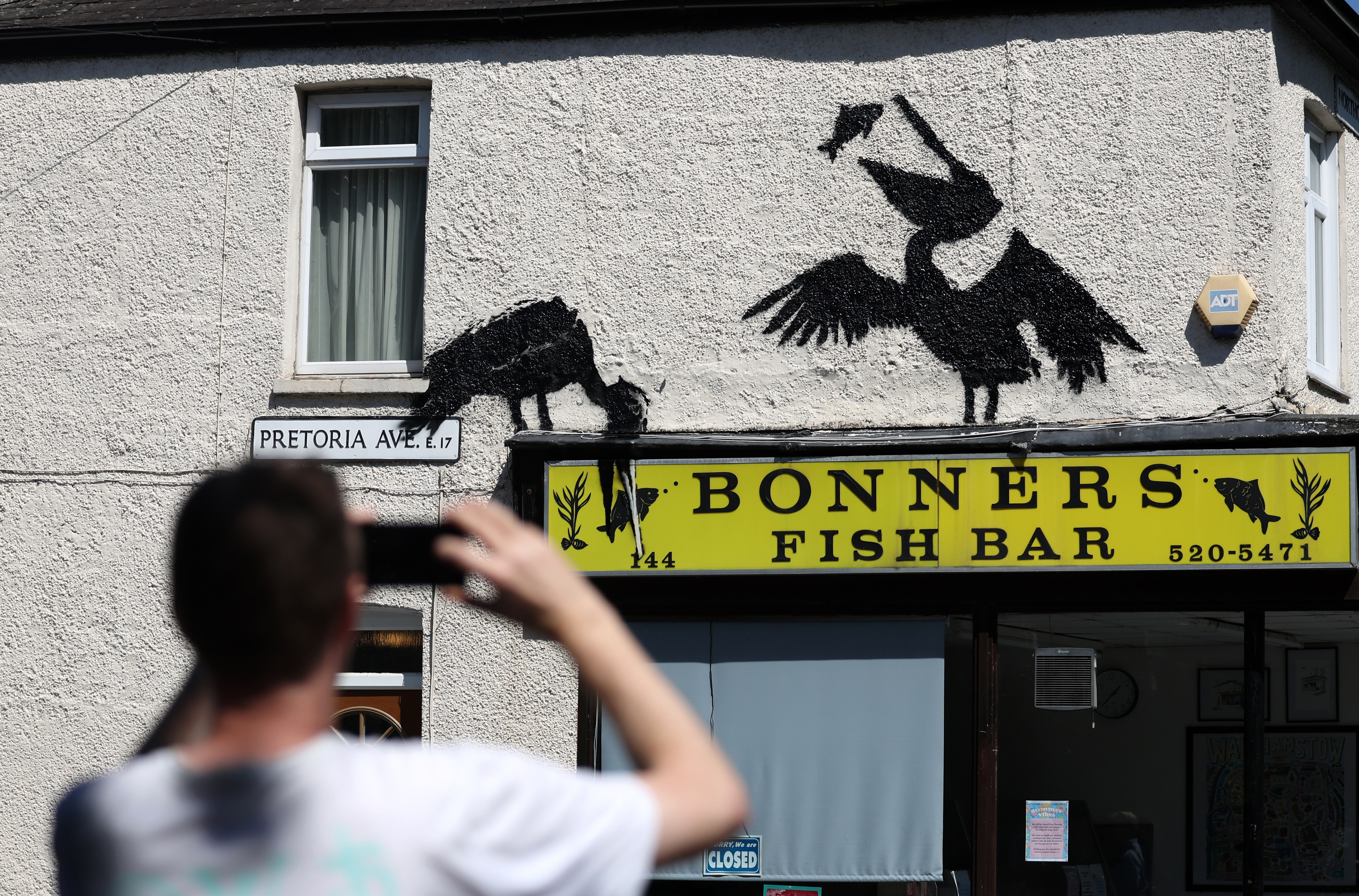 Pelícanos en un “fish and chips”, la quinta pintura del zoo urbano de Banksy en Londres