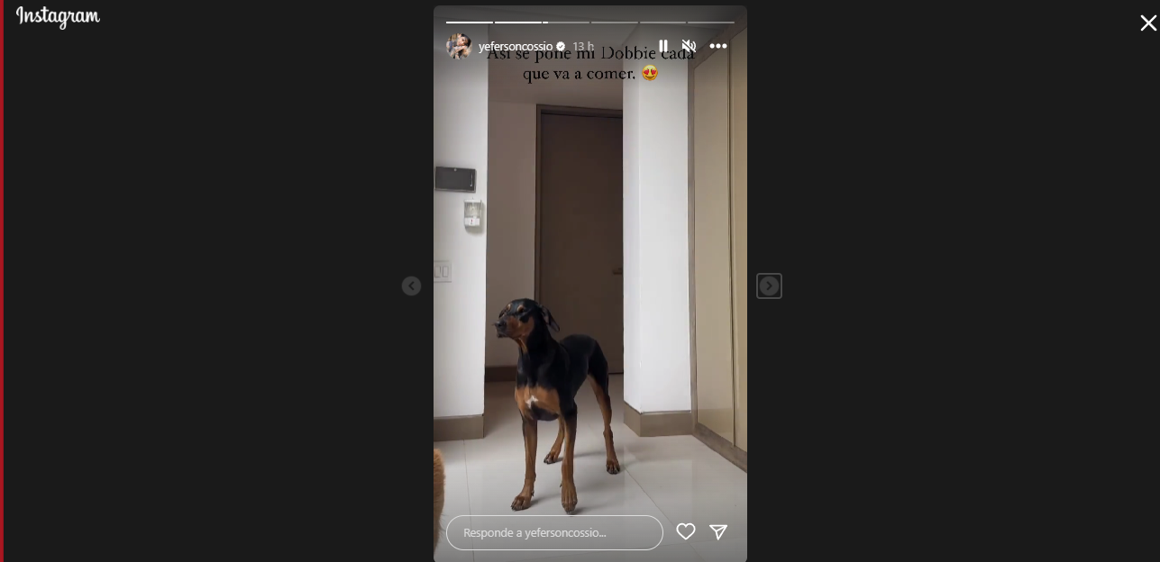 Yeferson Cossio, molesto por quienes piden que le corte la orejas a su perro