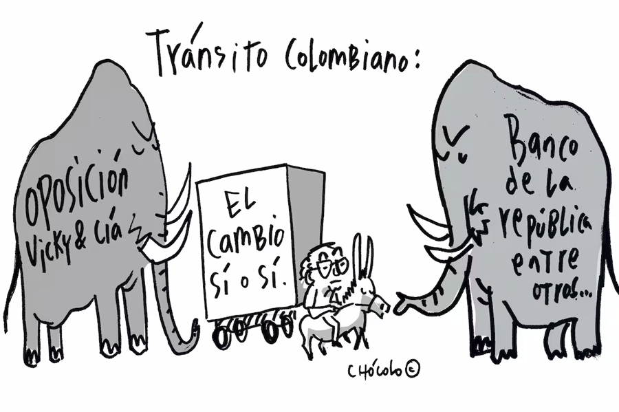 Chócolo