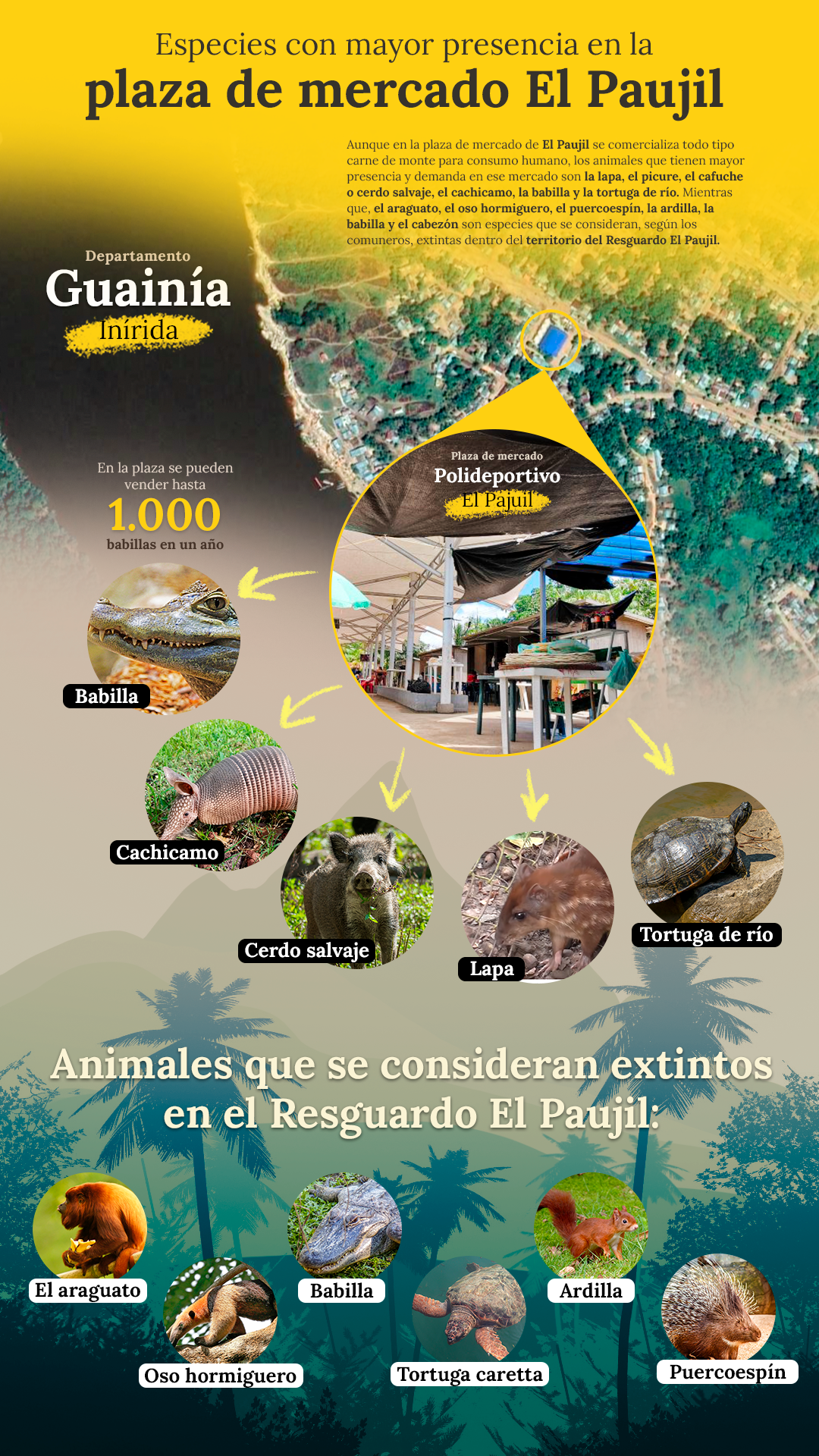 Especies con mayor presencia en la plaza de mercado El Paujil.