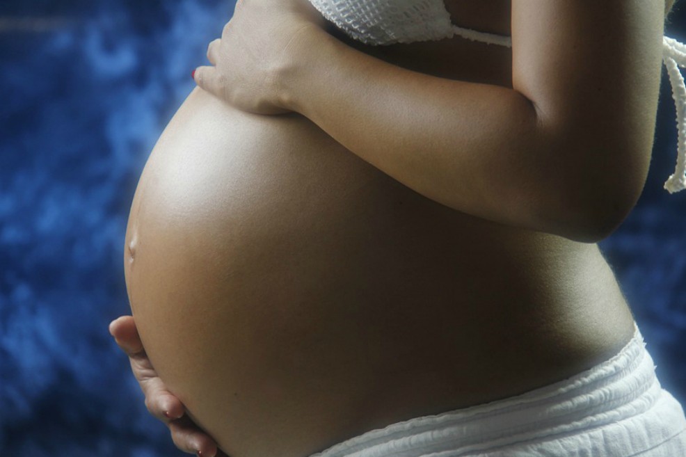 El microbioma vaginal puede influir en los niveles de estrés de la descendencia