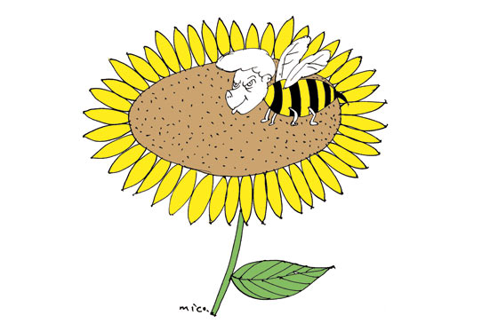 Abeja
