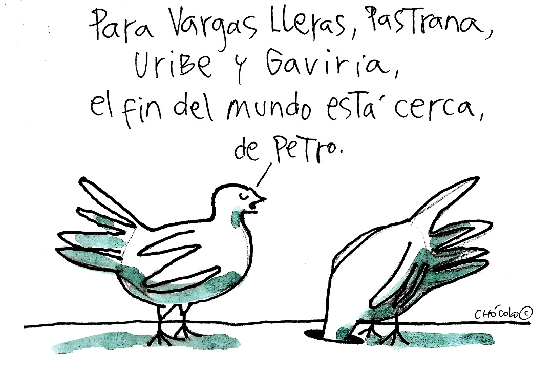 Chócolo