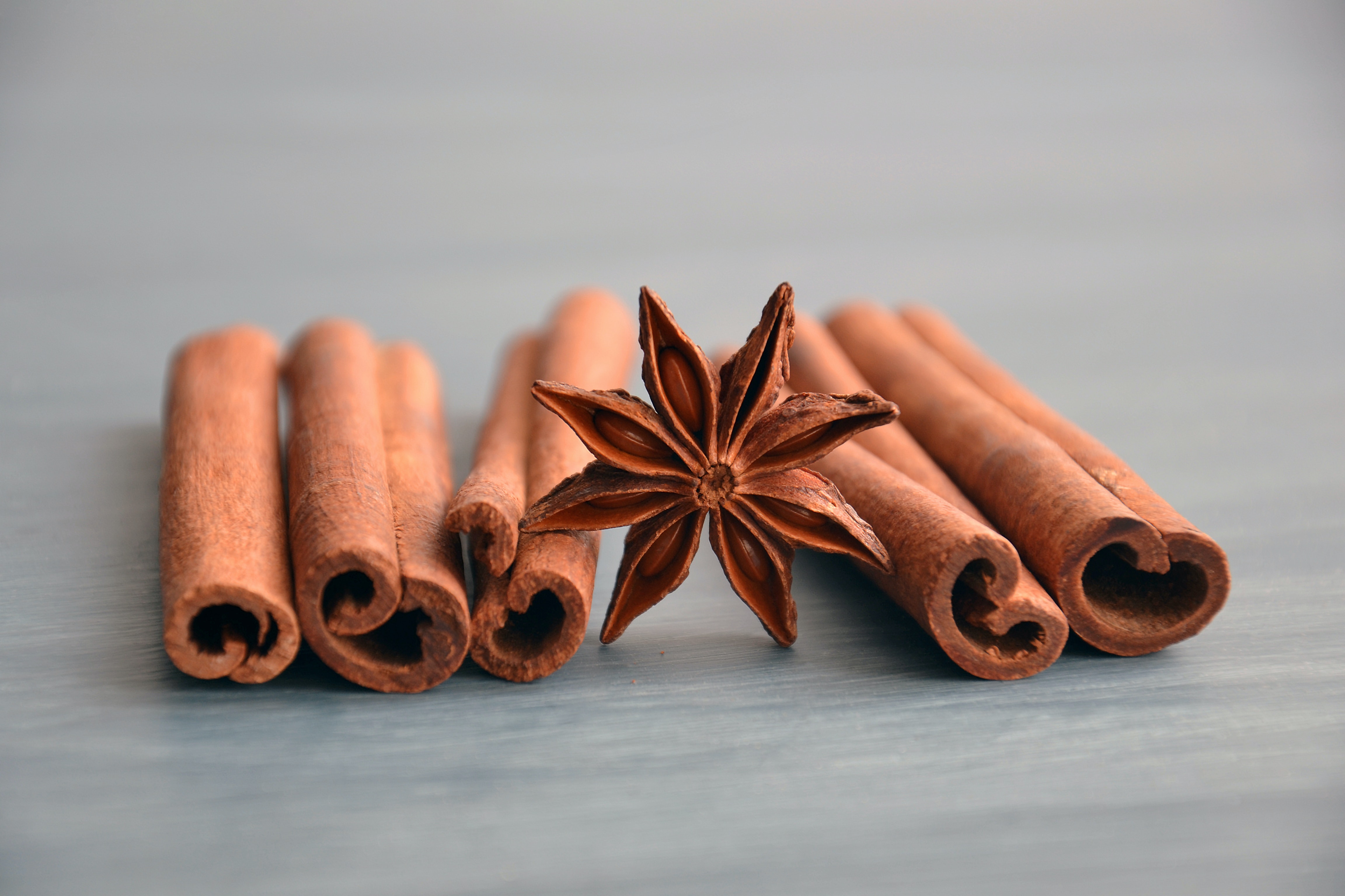 Canela: cómo sembrarla, técnicas y cuidados