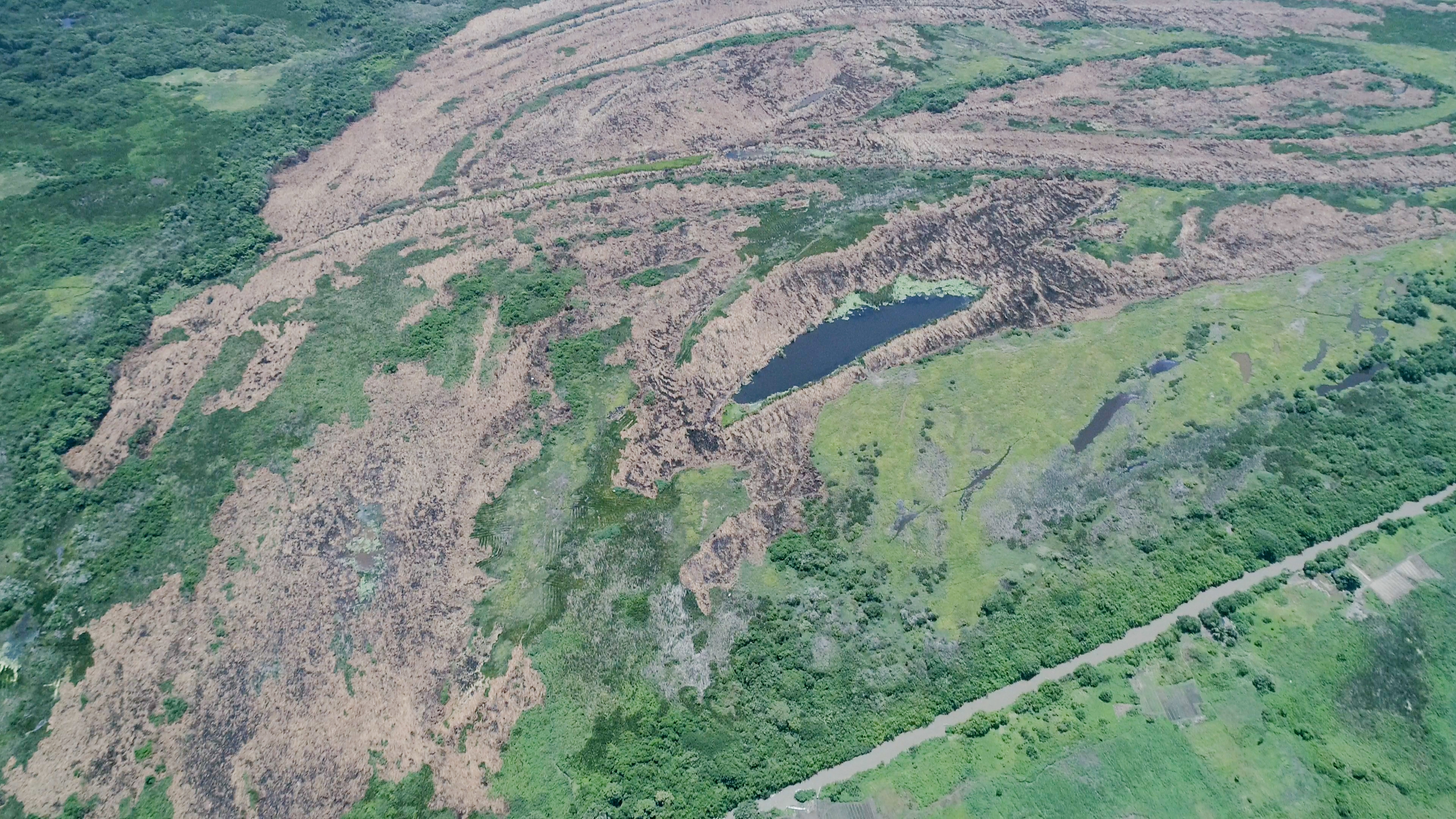 Desde 2013 se han presentado 79 incendios forestales en la zona y han arrasado grandes extensiones de bosques de manglar.