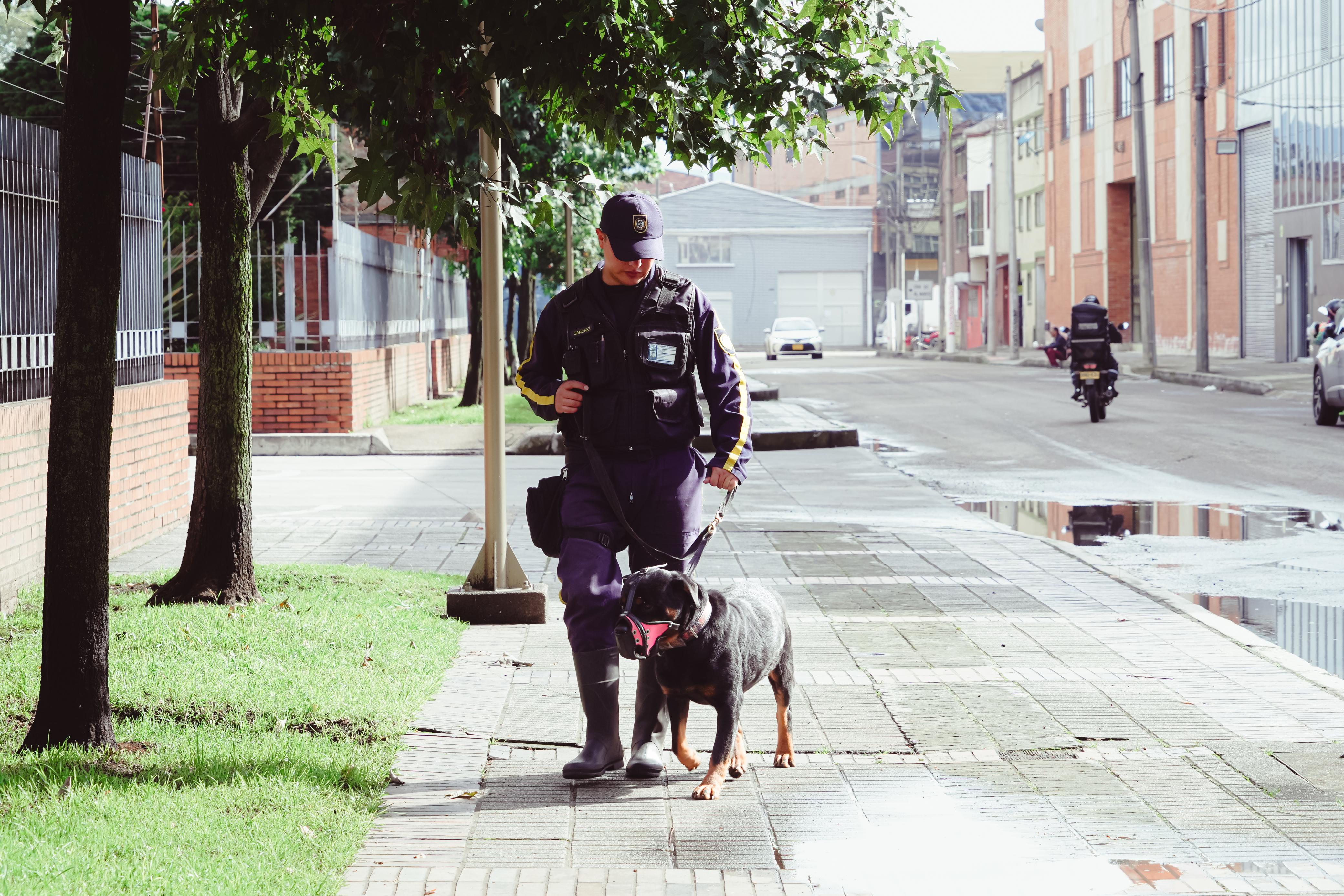 Secretaría de Salud dejará de contratar perros de vigilancia en sus sedes ¿Por qué?