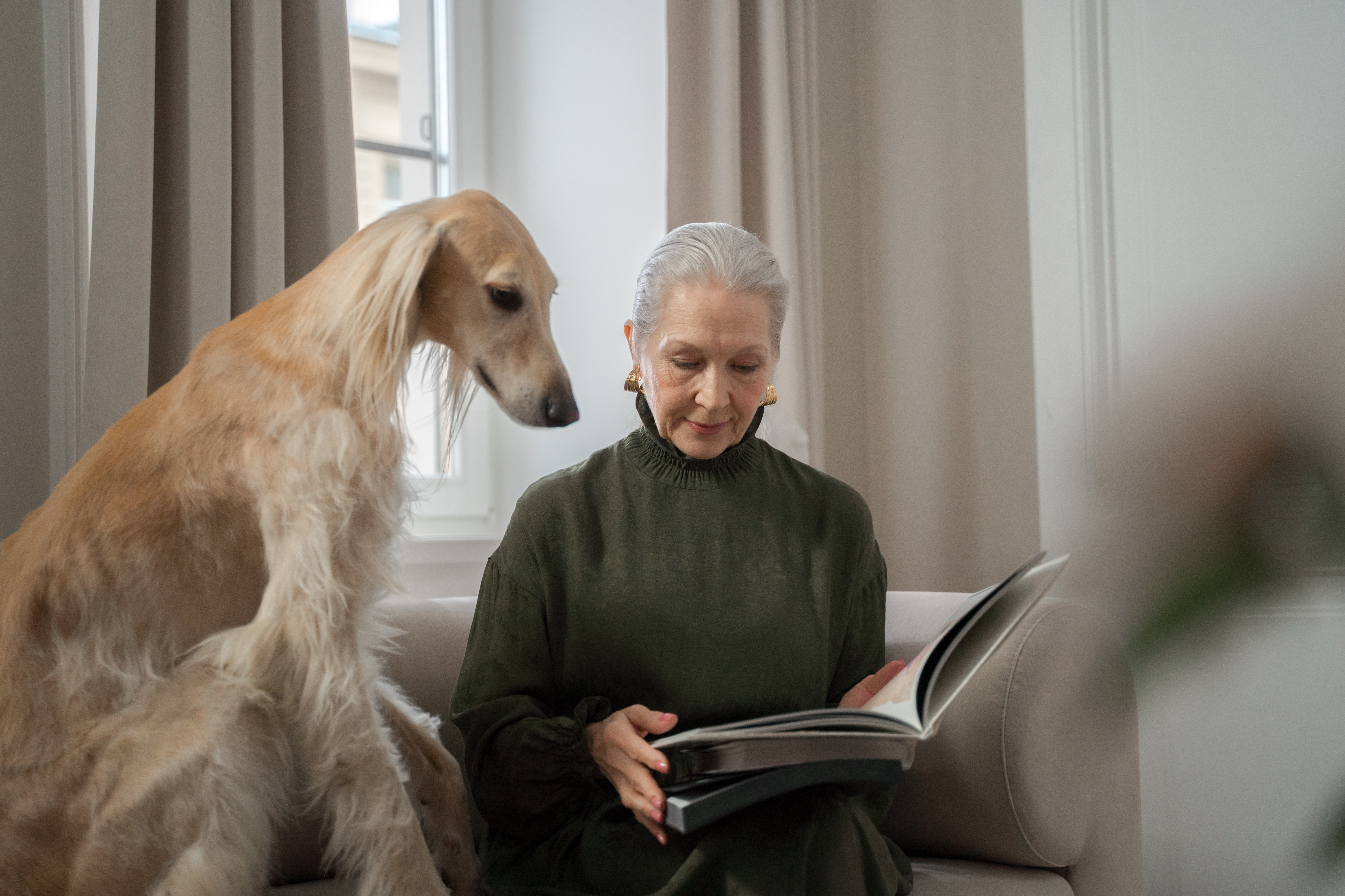 ¿Qué significa hablar con tu mascota?