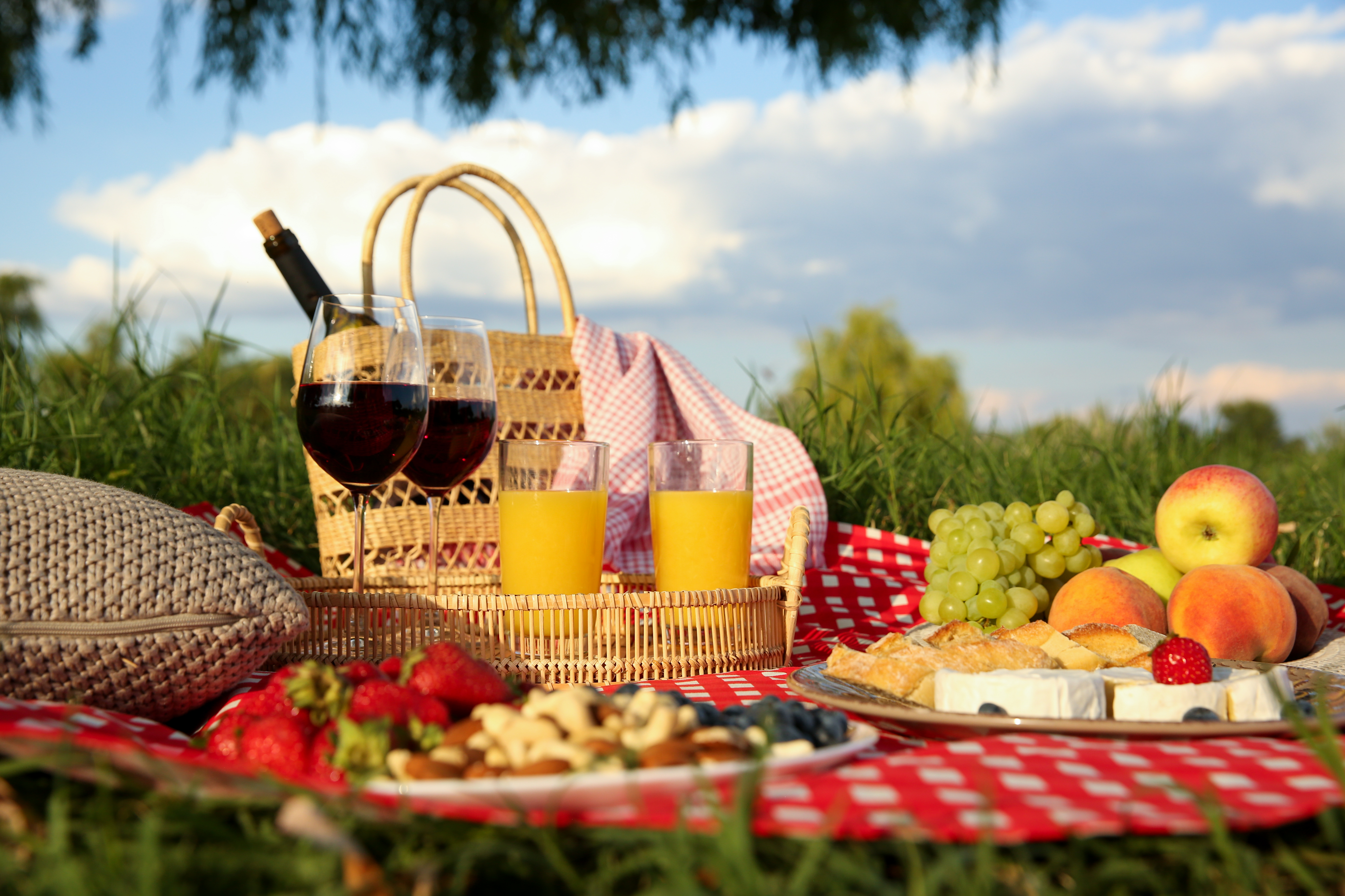 Sorprende a esa persona especial con este delicioso “picnic” para San Valentín