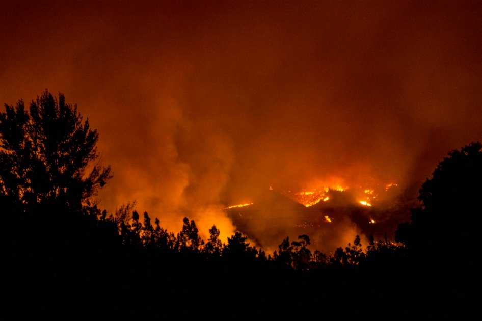 El “infierno” chileno no cesa: 190.000 hectáreas de bosque consumidas por incendios