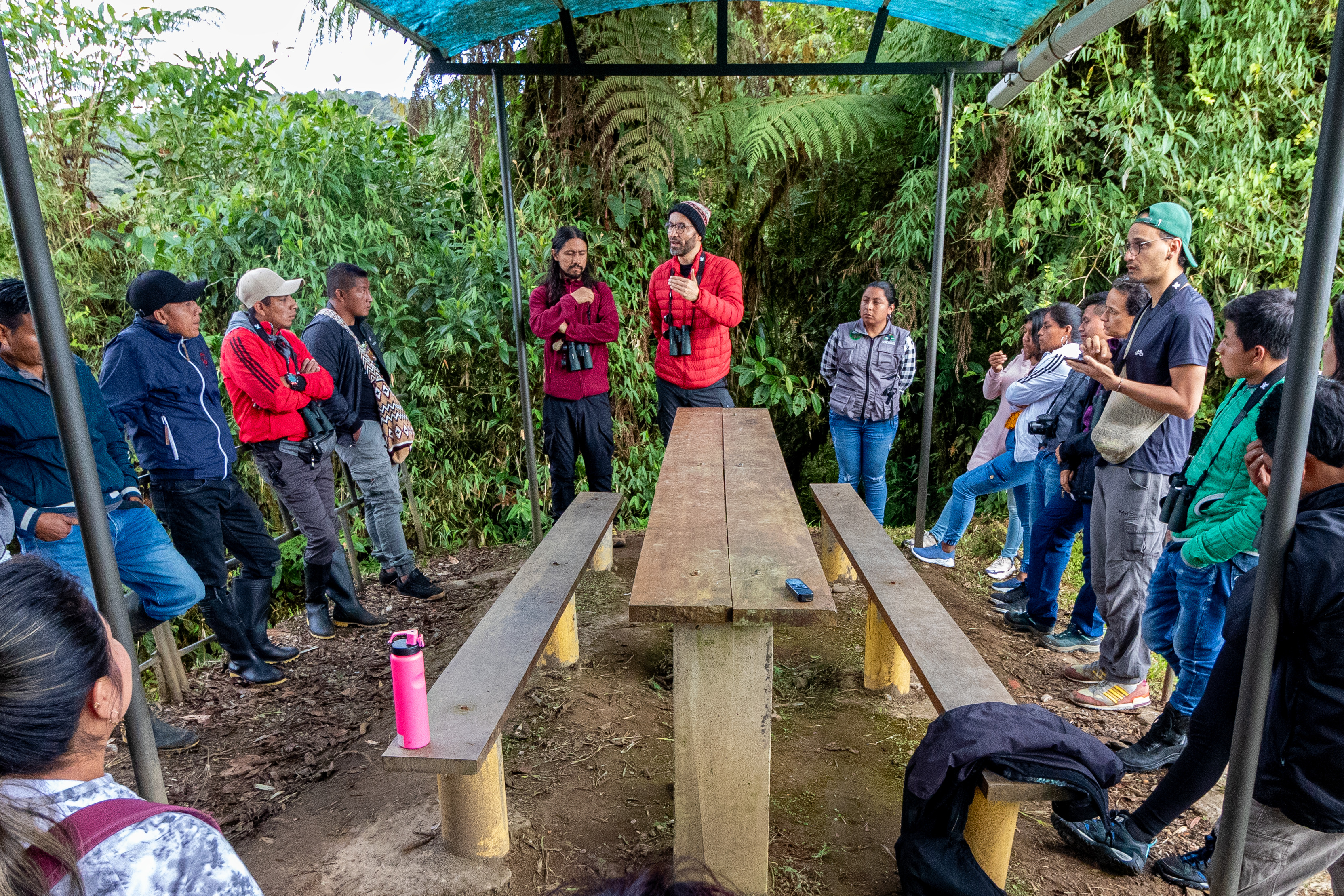 Financiar la conservación de la naturaleza: ¿cómo ha avanzado Colombia?