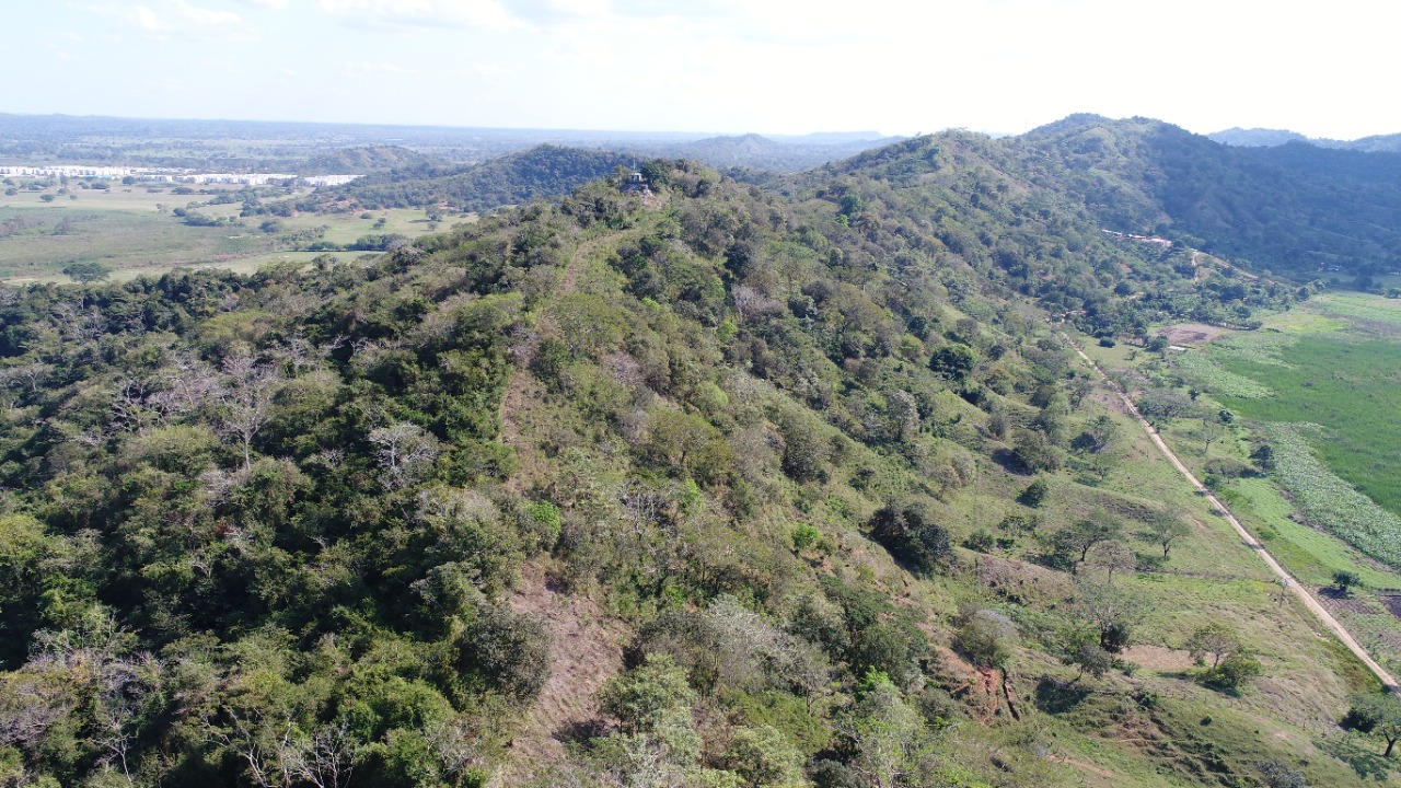 Protección de humedales en Montería, el camino para convertirse en “biodiverciudad”