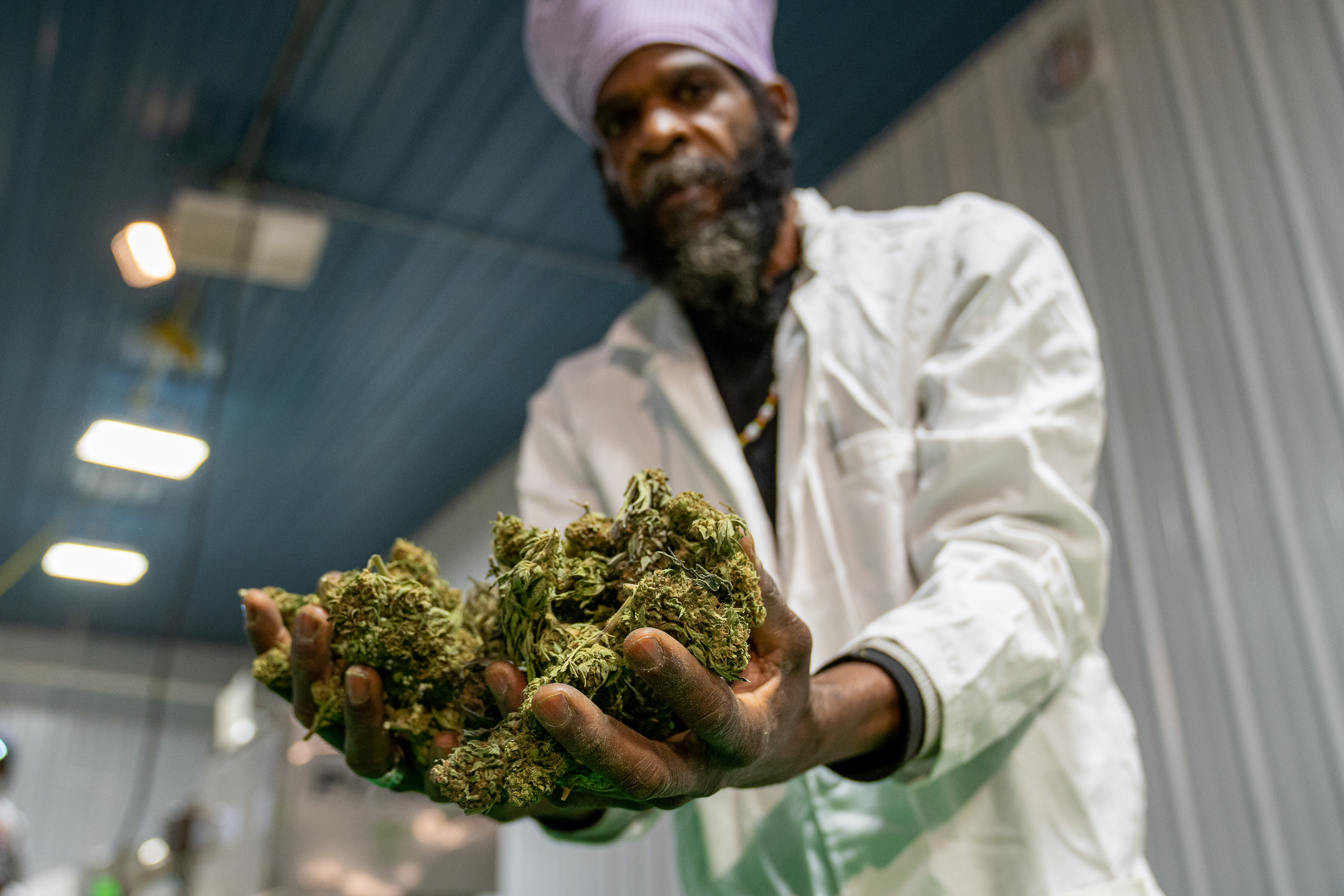 Nueva York, el nuevo supermercado legal de la marihuana; lista para ser vendida