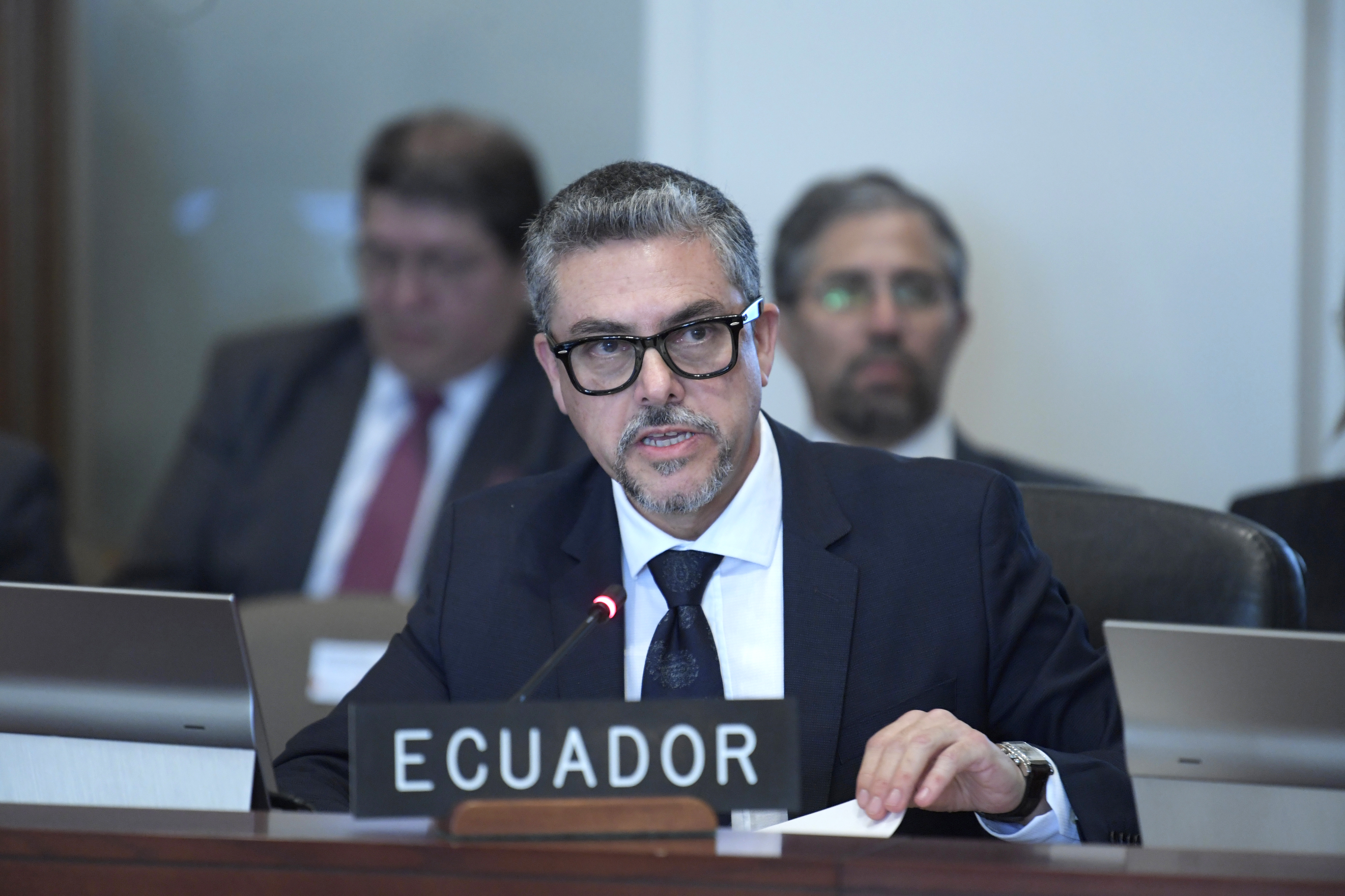 Finalizó la primera reunión entre Ecuador y la OEA, ¿qué se dijo?