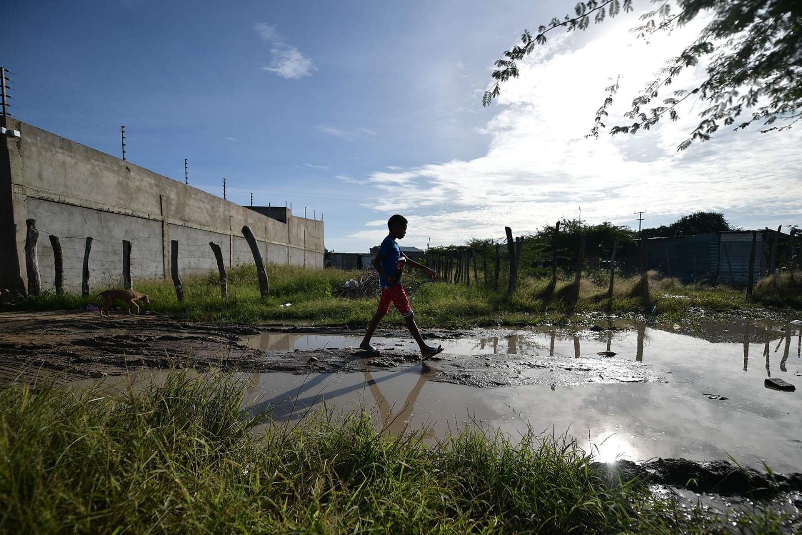 10 recomendaciones de Dejusticia para superar la corrupción en La Guajira