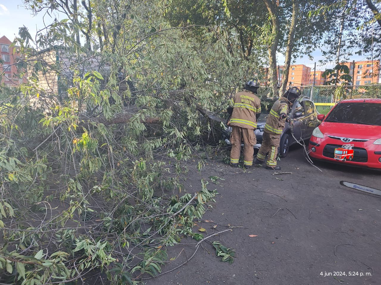 Árbol destruyó cuatro vehículos y afectó una vivienda, en el barrio 20 de Julio