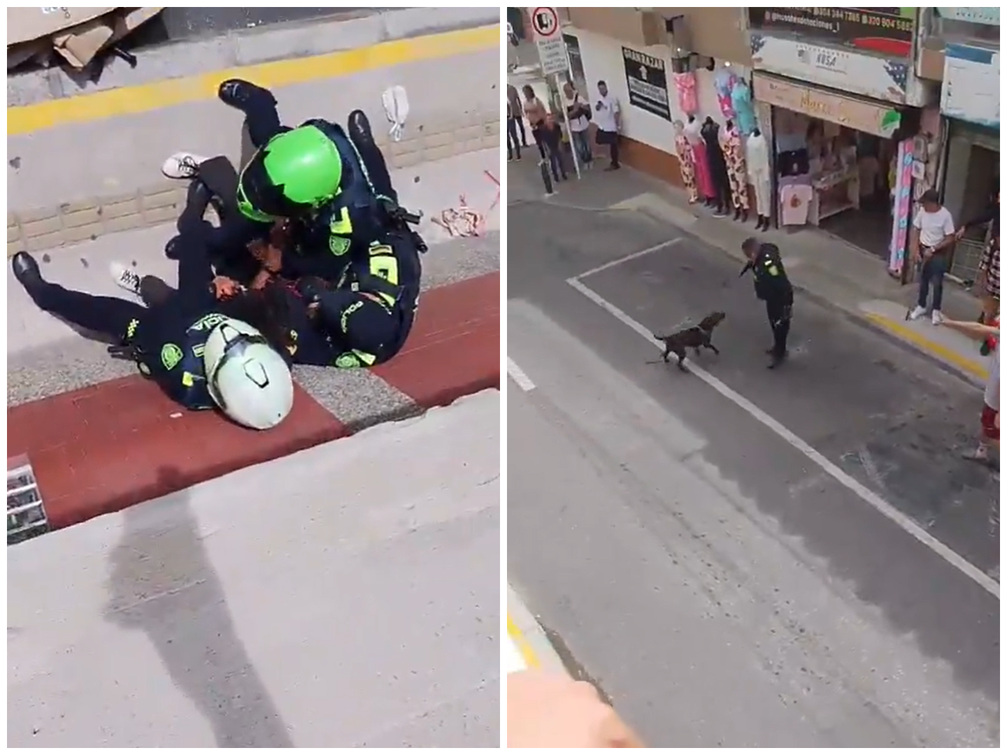 Investigarán al policía que disparó contra un perro en medio de un operativo en Rionegro