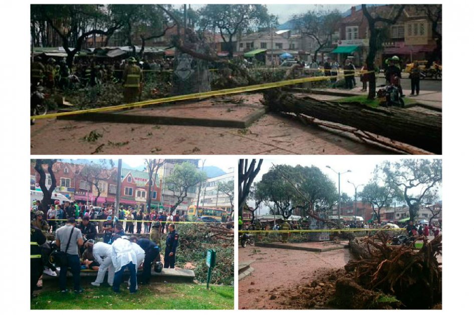 Dos mujeres heridas por caída de árbol en localidad de Chapinero