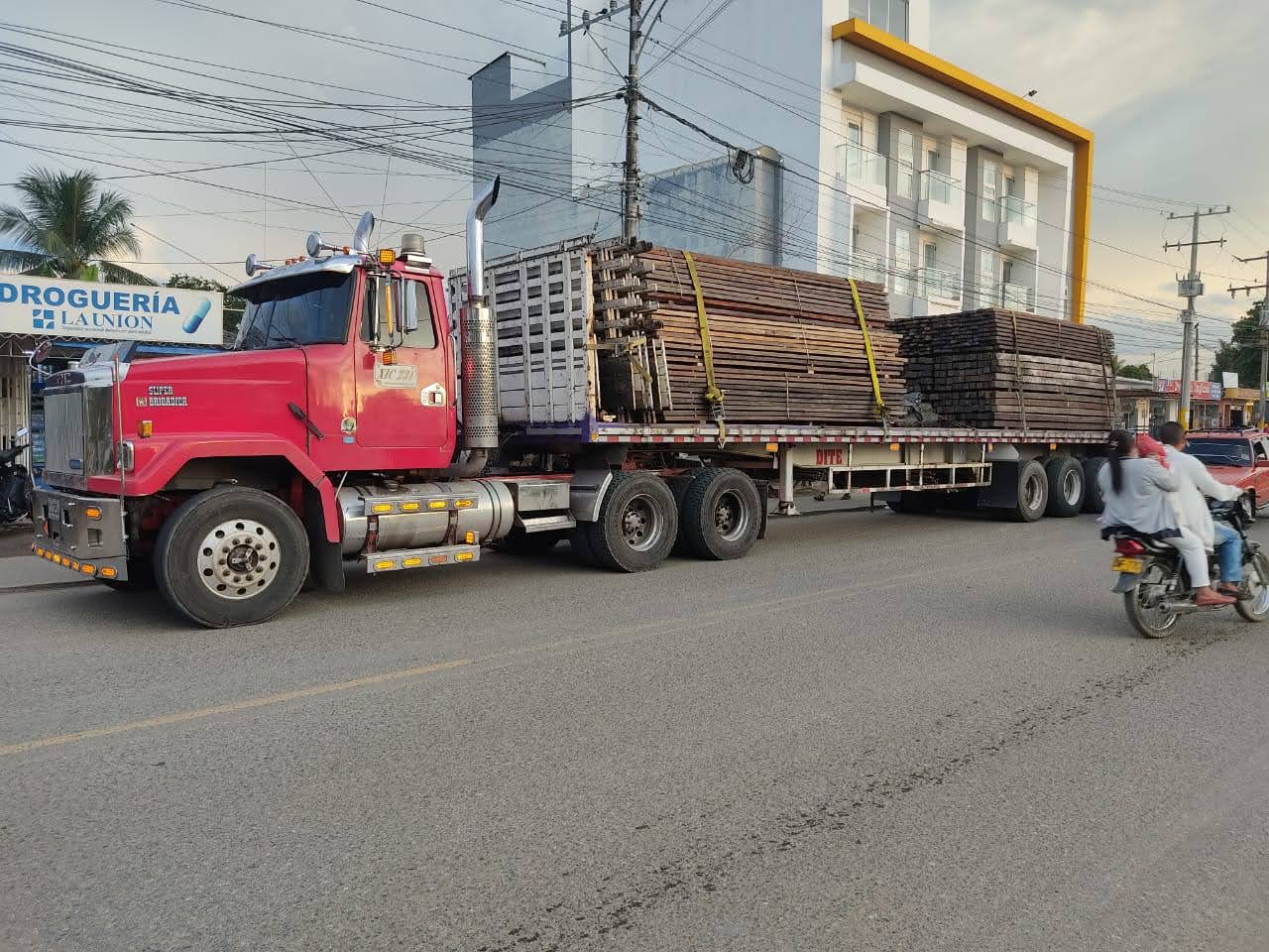 Así fue como la UNRGD terminó comprando madera deforestada por el Clan del Golfo