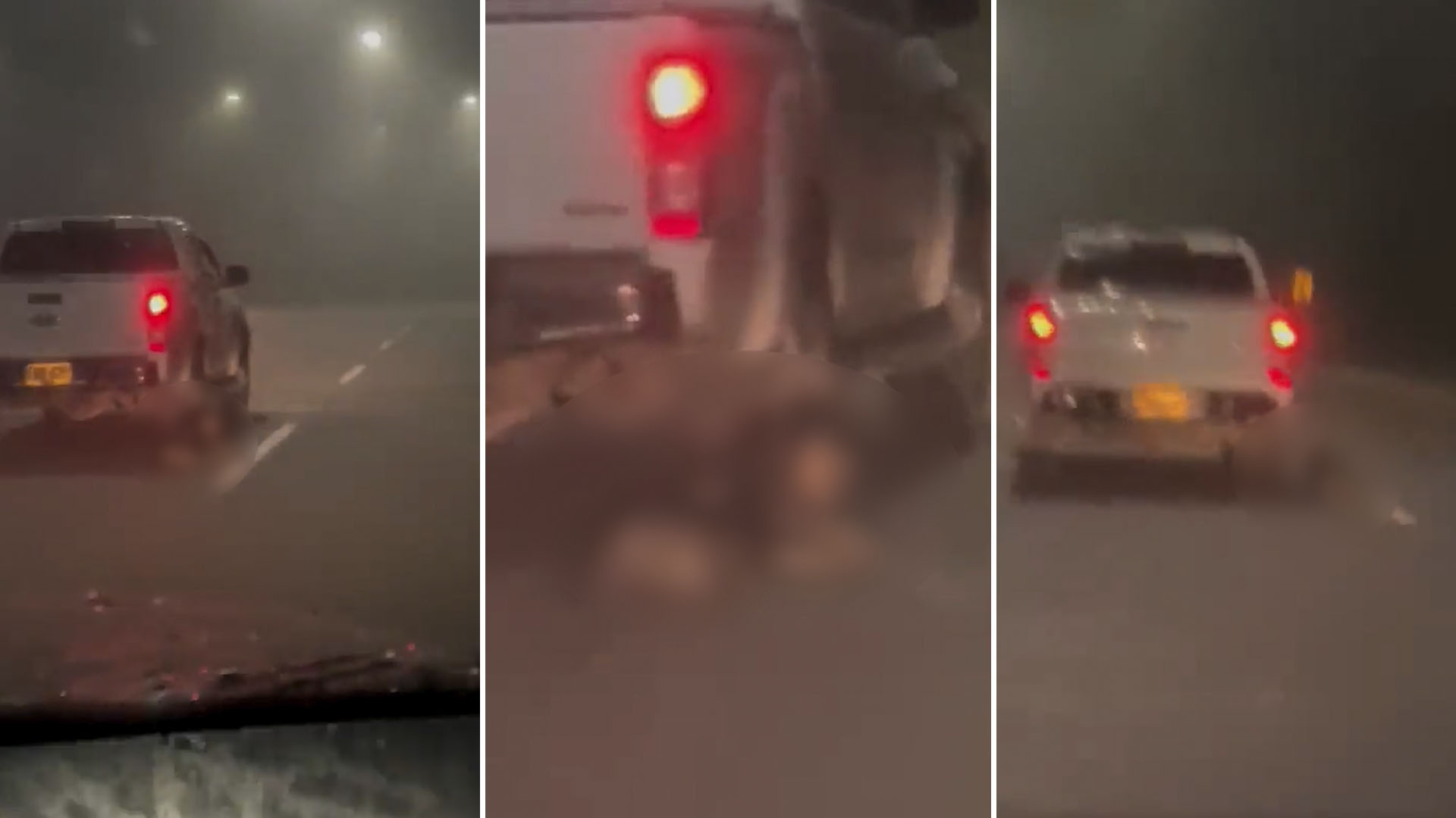 Fiscalía investigará al conductor que arrastró a un perro desde su camioneta